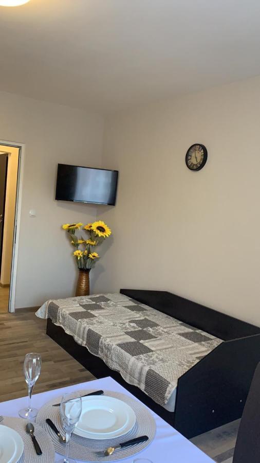 Comfortapartment Iglika 2 بوروفتس المظهر الخارجي الصورة